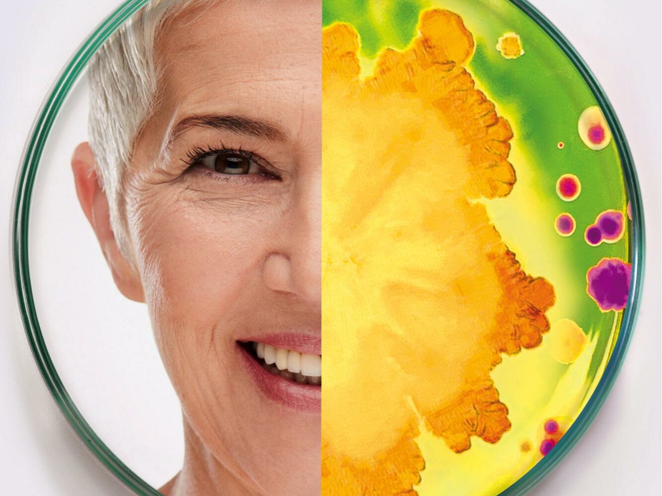 2021_Microbes + Faces 14 A split image inside a petri dish: one side shows a smiling older woman's face with short white hair and the other shows various colorful bacteria cultures, including yellow, green, and purple.