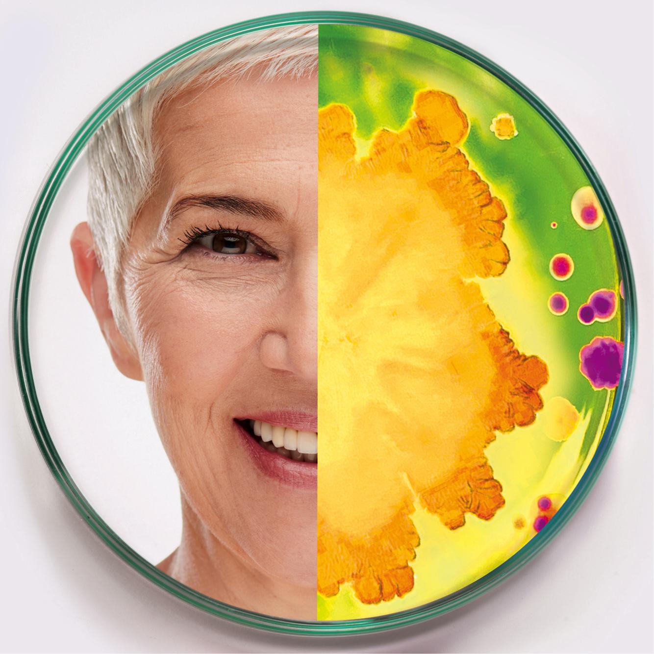 A split image inside a petri dish: one side shows a smiling older woman's face with short white hair and the other shows various colorful bacteria cultures, including yellow, green, and purple.