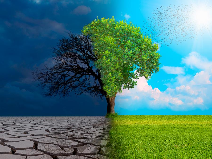 An image divided in half vertically features contrasting environments. The left side shows a barren, cracked land with a dead tree under a dark sky, while the right side displays a lush, green landscape with a healthy tree against a bright, sunny sky.