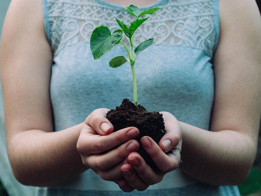 what-is-hygiene-hypothesis A person in a sleeveless, patterned top holds a small, green plant with soil in their hands. The background is blurred, focusing on the hands and the plant.